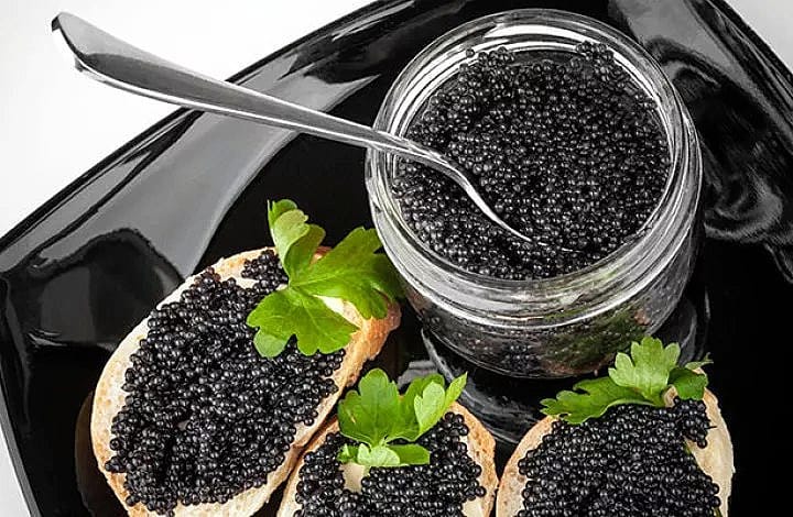 صادرات خاویار سوروگا