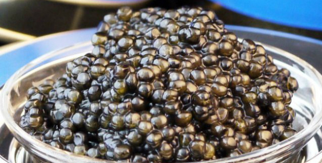 صادرات خاویار پرورشی اصل